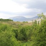 MiConv.com__c696c9110a3601b6dea35f39d2d7a693