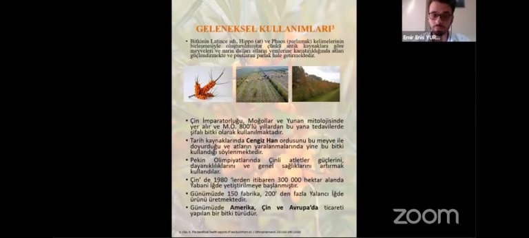 WhatsApp Image 2021-10-21 at 17.09.03 (16)