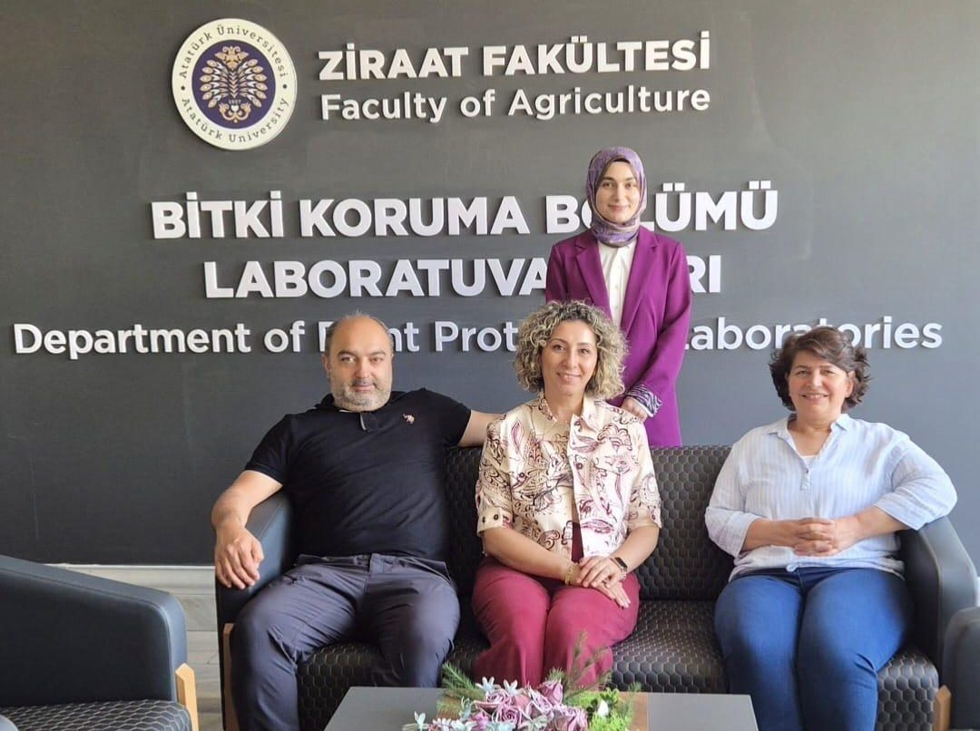 Tez İzleme Komitesi