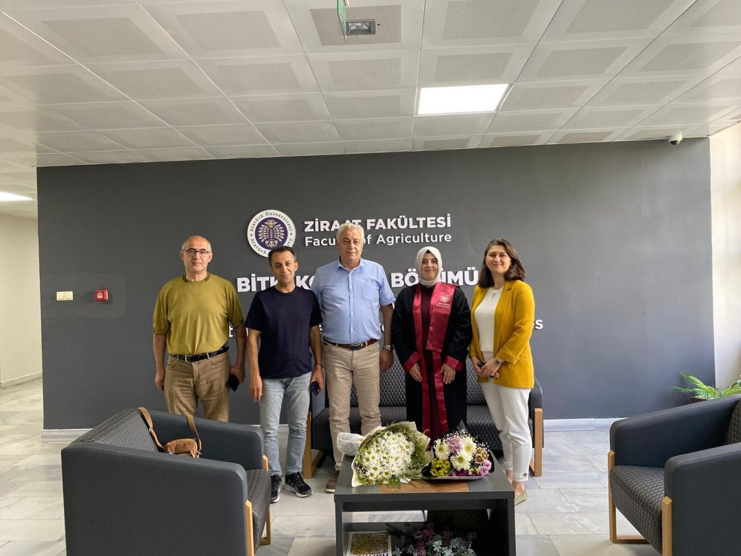 Yüksek Lisans Tez Savunması