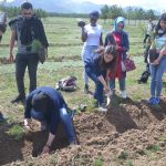 551488c1c48808f106b7251ebc00f387