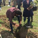 b7970831345134a9a3179f8210470088