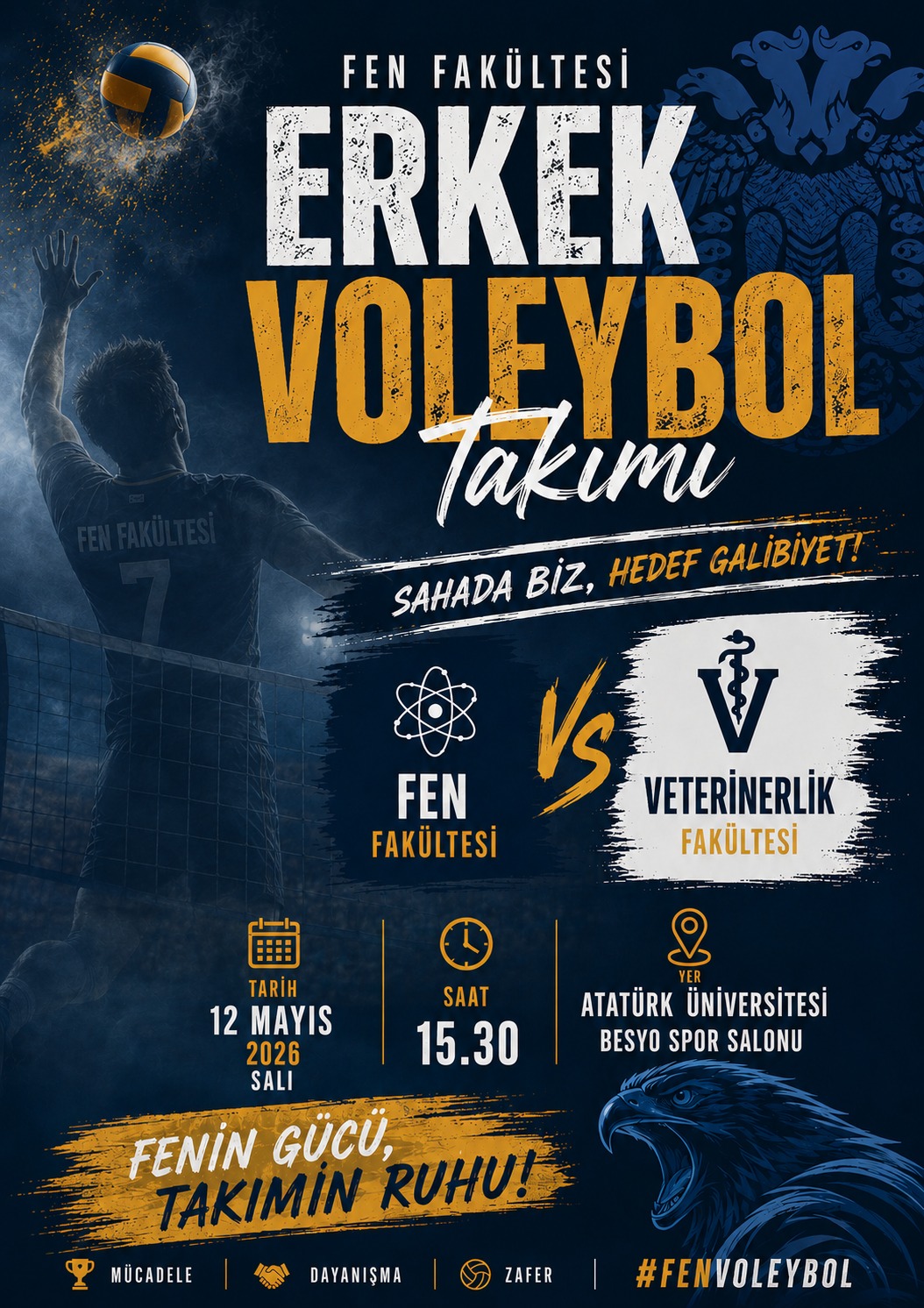 Voleybol Maçı