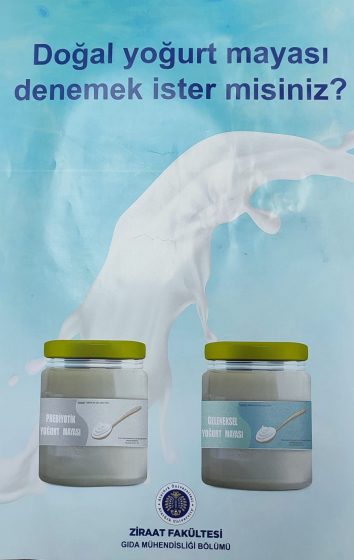 Doğal yoğurt mayası denemek ister misiniz?