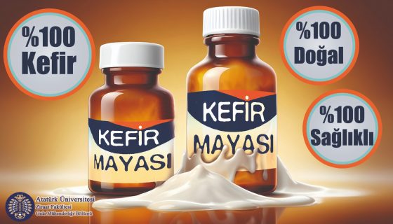 Doğal kefir mayası denemek ister misiniz?