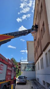 WhatsApp Image 2025-05-08 at 14.16.44