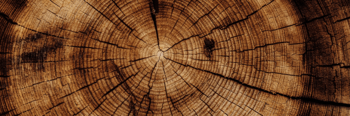 Ormancılık ve Orman Ürünleri