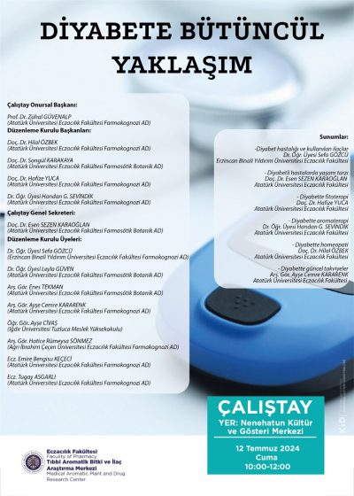 Diyabete Bütüncül Yaklaşım Çalıştayı