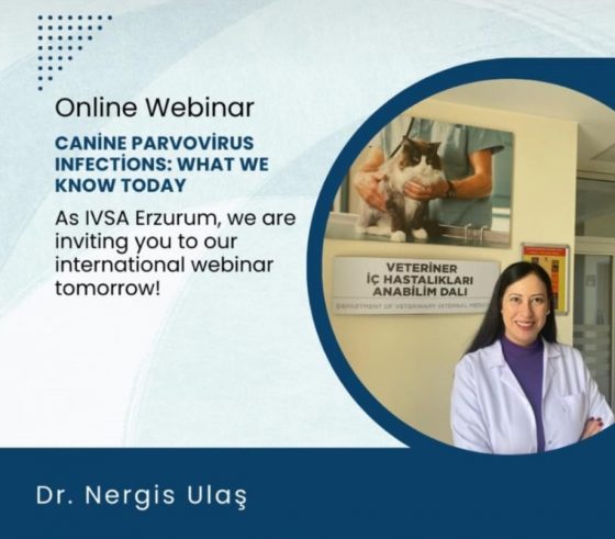 Online Webinar