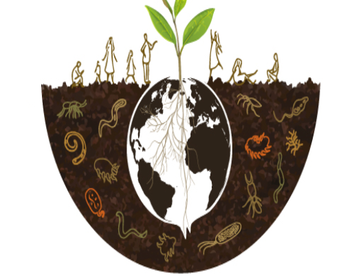 Dünya Toprak Günü