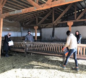 koyunculuk öğrenciler